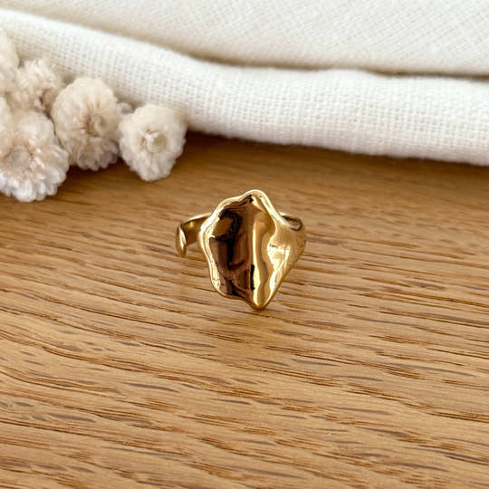 Bague "Cherinne" acier